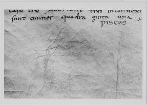 Dombibliothek - 83 II, fol. 161v - 798