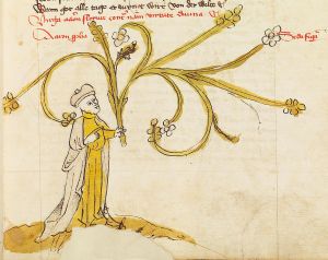 Universitätsbibliothek - 179, fol. 16r - 1436