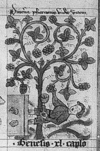 Bibliothèque royale de Belgique - 281-283 (cat. no. 2140), fol. 11v - 1390 (circa)