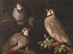 Florentine - 17th century