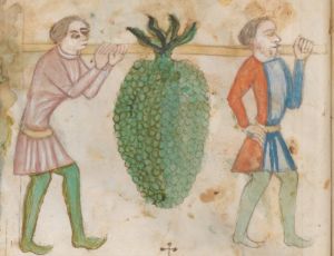Biblioteka Uniwersytecka - I F 108 a, fol. 16v - 15th century (first half)