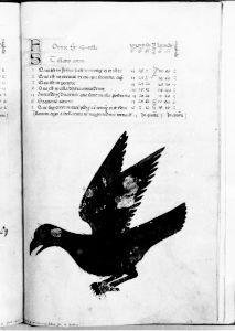 al-Sufi p.43r - 14th century