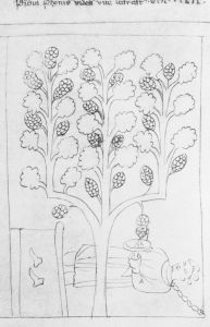 Bayerische Staatsbibliothek - Clm 146, fol. 10v - 14th century (second quarter)