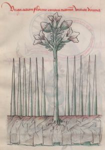 Bibliothèque nationale de France - lat. 512, fol. 10r - 15th century (early)