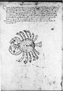 Scot, Michael p.8 - 15th century