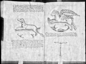 Scot, Michael p.109v-110r - 15th century