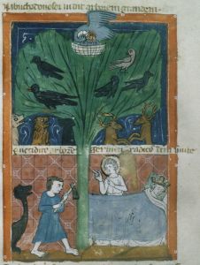 Biblioteca Corsiniana - 55.K.2 (Rossi 17), fol. 34v - 14th century (first half)