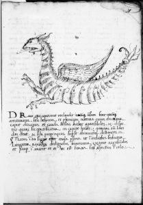 Scot, Michael p.21 - 15th century