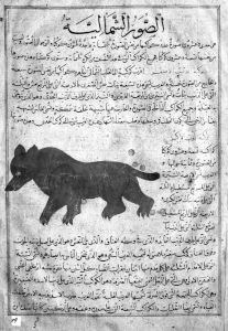 al-Qazwini p.19 - 15th century