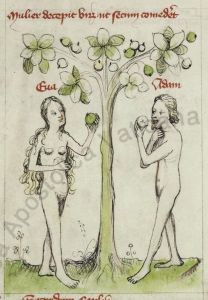 Biblioteca Apostolica Vaticana - Pal. lat. 413, fol. 5v - 15th century (early)
