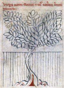 Staatsbibliothek - lat. fol. 329, fol. 9r - 14th century (middle)