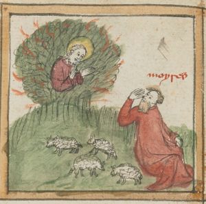 Bibliothèque nationale de France - lat. 9586, fol. 8v - 15th century (second quarter)