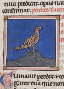 Sidney Sussex College - 100, fol. 21r - 1230 (circa)