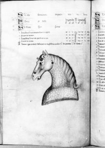 al-Sufi p.14v - 14th century