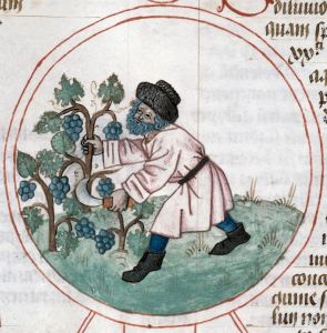 Bibliothèque municipale - 89, fol. 52v - 1470 (circa)