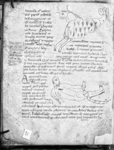 Hyginus p.21v - 12th century