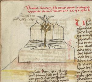 Universitätsbibliothek - germ. qu. 100, fol. 5v - 15th century (third quarter)