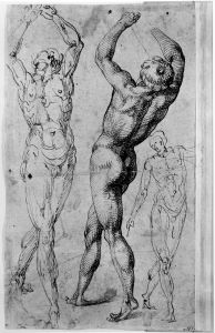 Passarotti, Bartolomeo (1529-1592) - 16th century (second half)