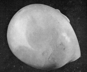 Brancusi, Constantin (1876-1957) - 1911