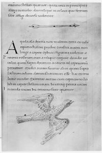 Hyginus p.129r - 1450 (circa)