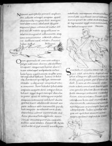 Stiftsbibliothek - 902, fol. 94 - 9th century (second half)