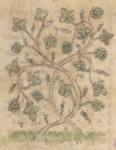 British Library - Add MS 11575, fol. 20v - 1410 (circa)