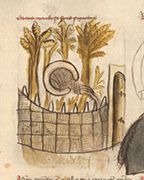 Germanisches Nationalmuseum - Hs. 22401, fol. 6r - 15th century (early)
