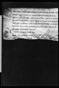 Bayerische Staatsbibliothek - Clm 560, fol. 104v - 9th century