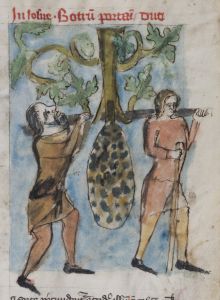 Stiftsbibliothek - Cod. 101, fol. 25r - 14th century (late)