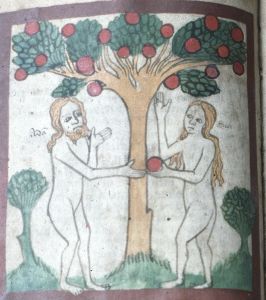 Historisches Archiv - Best. 7020 (W (with asterisk)) 105, fol. 12 - 14th century (second half)