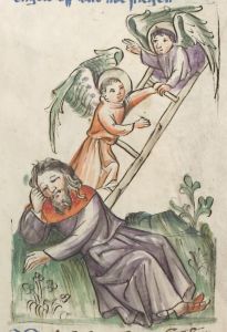Universitätsbibliothek - Pal. germ. 432, fol. 41r - 1420 (circa)