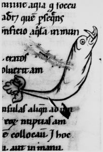 Hyginus p.13v - 12th century