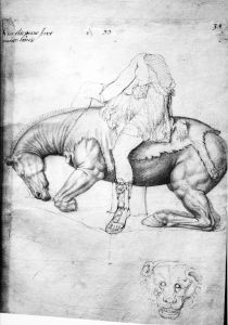 Trinity College Library - R.17.3, fol. 28 - 1550