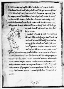 Hyginus p.7v - 12th century