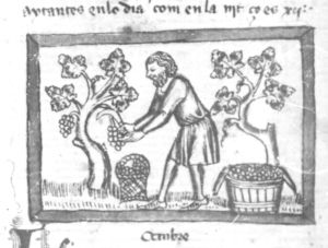 Ermengaud, Matfre p.43v - 15th century