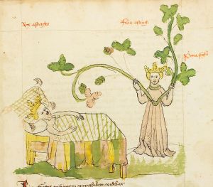 Universitätsbibliothek - 179, fol. 2r - 1436