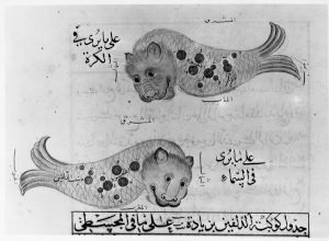al-Sufi p.89r - 1430