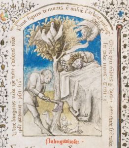 Stiftsbibliothek - Cod. 206(49), fol. 48 - 1450 (circa)