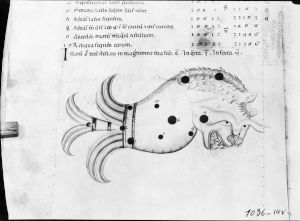 al-Sufi p.14v - 13th century (third quarter)