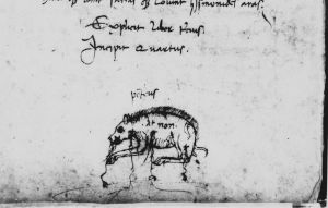 Ovid (Publius Ovidius Naso) p.49v - 1473