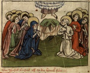 Provinzialbibliothek - 2 Ms. 46, fol. 81v - 1415 (circa)