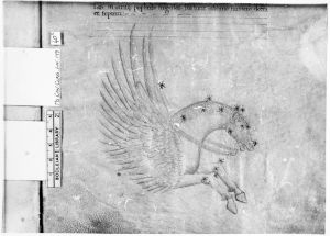 Zink, Matthias (1665-1738) - 1725