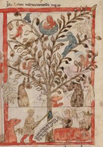 Biblioteca Apostolica Vaticana - Reg. lat. 99, fol. 26v - 1428