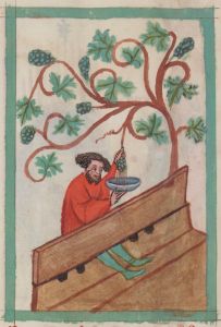 Bibliothèque nationale de France - lat. 9585, fol. 13r - 15th century (first half)