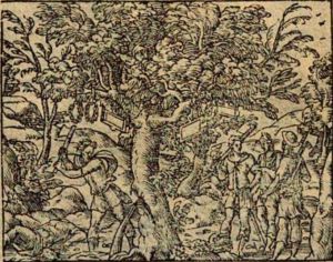Ovid (Publius Ovidius Naso) - 1564