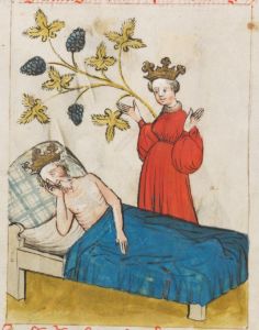Benediktinerkollegium - Cod. membr. 8, fol. 5v - 1427