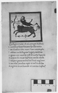 Germanicus Caesar p.46r - 1460 (circa)