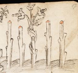 Kantonsbibliothek - VadSlg Ms. 352, fol.1-2, fol. 17 - 1440 (circa)