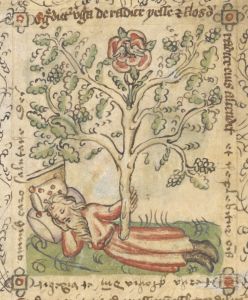British Library - Sloane MS 361, fol. 7v - 15th century (first half)