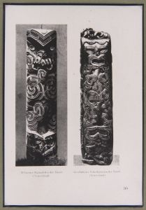 Maori - 19th century